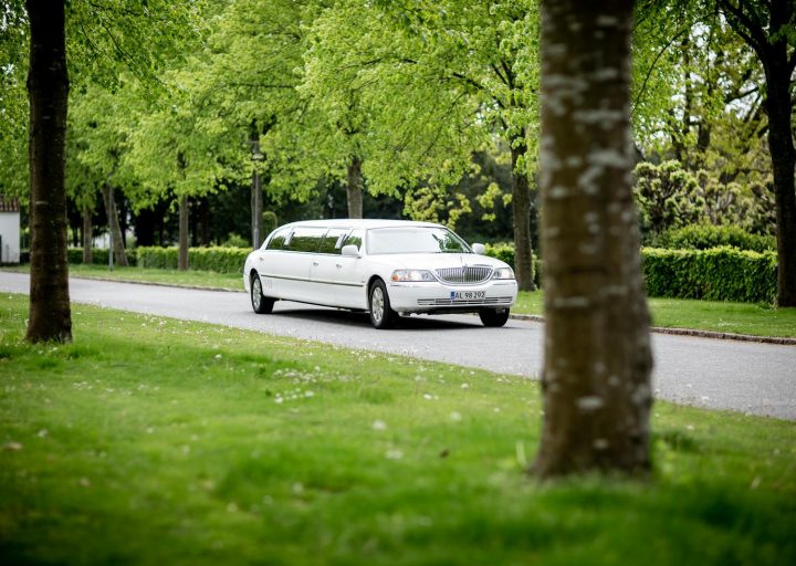 A sleek white limousine driving on a road with lush green trees in the background.